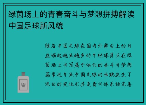 绿茵场上的青春奋斗与梦想拼搏解读中国足球新风貌